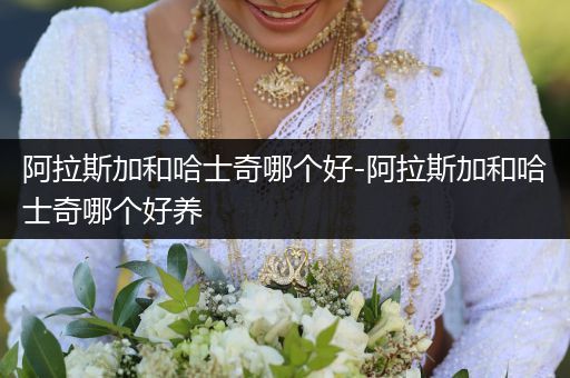 阿拉斯加和哈士奇哪個好-阿拉斯加和哈士奇哪個好養(yǎng)