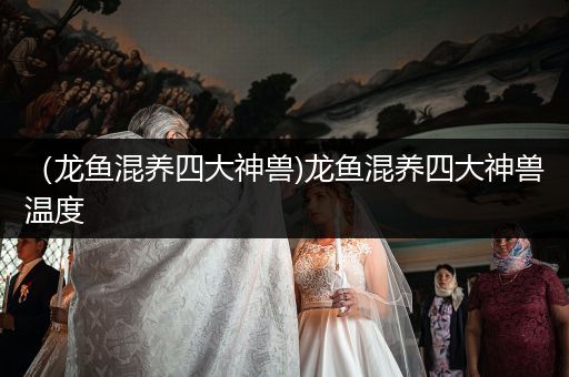 （龍魚混養(yǎng)四大神獸)龍魚混養(yǎng)四大神獸溫度