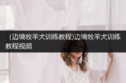 （邊境牧羊犬訓(xùn)練教程)邊境牧羊犬訓(xùn)練教程視頻