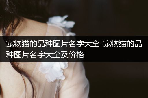 寵物貓的品種圖片名字大全-寵物貓的品種圖片名字大全及價格