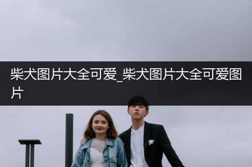 柴犬圖片大全可愛_柴犬圖片大全可愛圖片