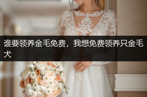 誰要領(lǐng)養(yǎng)金毛免費，我想免費領(lǐng)養(yǎng)只金毛犬