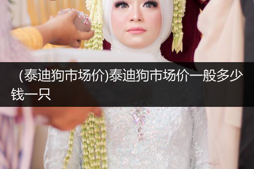 （泰迪狗市場價)泰迪狗市場價一般多少錢一只