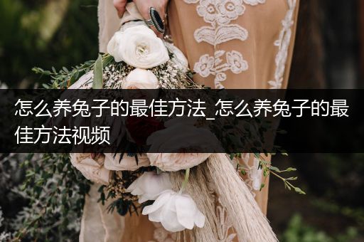 怎么養(yǎng)兔子的最佳方法_怎么養(yǎng)兔子的最佳方法視頻