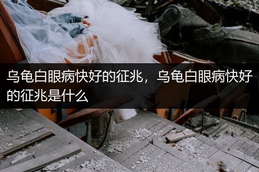 烏龜白眼病快好的征兆，烏龜白眼病快好的征兆是什么