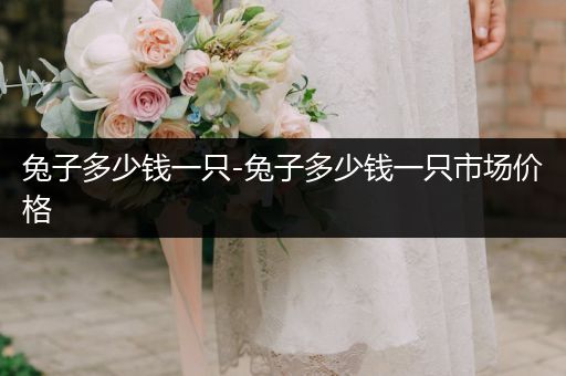 兔子多少錢一只-兔子多少錢一只市場(chǎng)價(jià)格