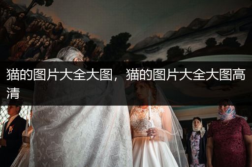 貓的圖片大全大圖，貓的圖片大全大圖高清