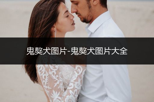 鬼獒犬圖片-鬼獒犬圖片大全