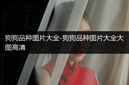 狗狗品種圖片大全-狗狗品種圖片大全大圖高清