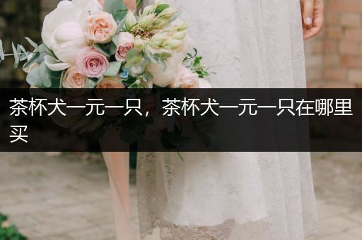 茶杯犬一元一只，茶杯犬一元一只在哪里買