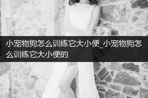 小寵物狗怎么訓(xùn)練它大小便_小寵物狗怎么訓(xùn)練它大小便的