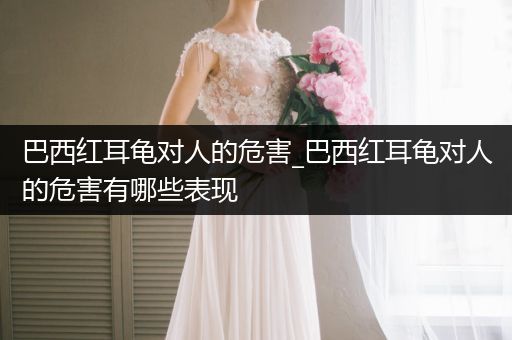 巴西紅耳龜對人的危害_巴西紅耳龜對人的危害有哪些表現(xiàn)