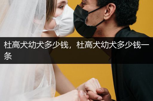 杜高犬幼犬多少錢，杜高犬幼犬多少錢一條