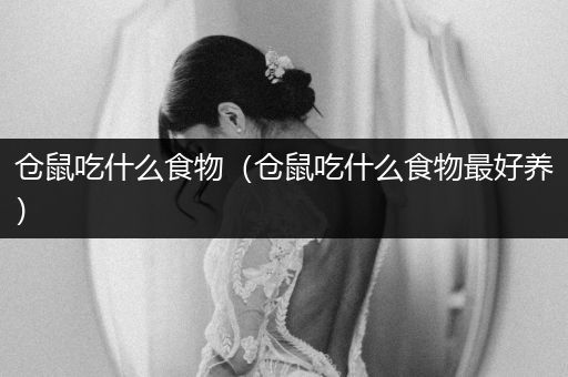 倉(cāng)鼠吃什么食物（倉(cāng)鼠吃什么食物最好養(yǎng)）