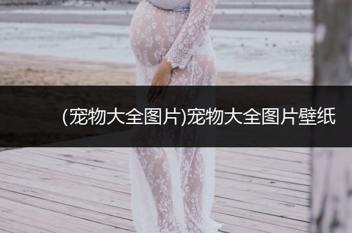 （寵物大全圖片)寵物大全圖片壁紙