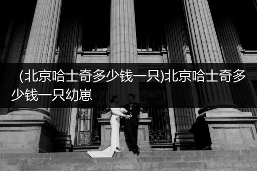 （北京哈士奇多少錢一只)北京哈士奇多少錢一只幼崽