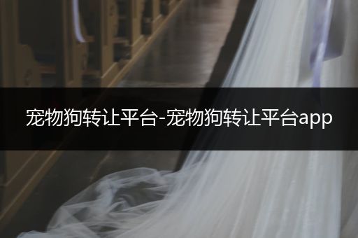 寵物狗轉(zhuǎn)讓平臺-寵物狗轉(zhuǎn)讓平臺app