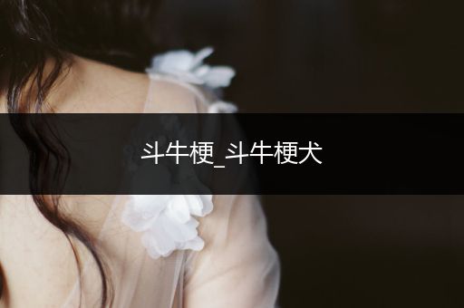 斗牛梗_斗牛梗犬