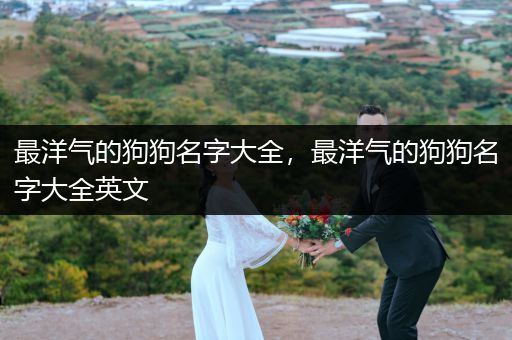最洋氣的狗狗名字大全，最洋氣的狗狗名字大全英文