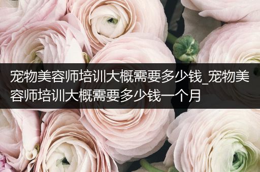 寵物美容師培訓大概需要多少錢_寵物美容師培訓大概需要多少錢一個月