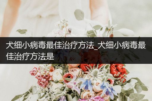 犬細(xì)小病毒最佳治療方法_犬細(xì)小病毒最佳治療方法是