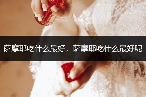薩摩耶吃什么最好，薩摩耶吃什么最好呢