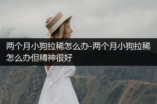 兩個月小狗拉稀怎么辦-兩個月小狗拉稀怎么辦但精神很好