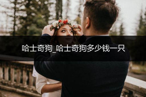 哈士奇狗_哈士奇狗多少錢一只