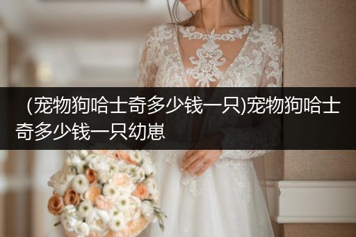 （寵物狗哈士奇多少錢一只)寵物狗哈士奇多少錢一只幼崽