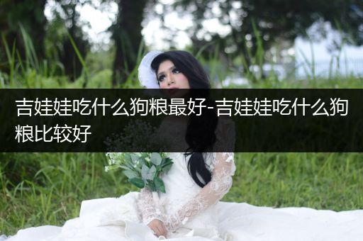 吉娃娃吃什么狗糧最好-吉娃娃吃什么狗糧比較好