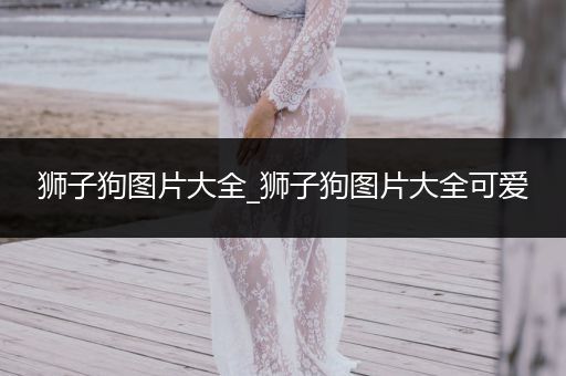 獅子狗圖片大全_獅子狗圖片大全可愛(ài)