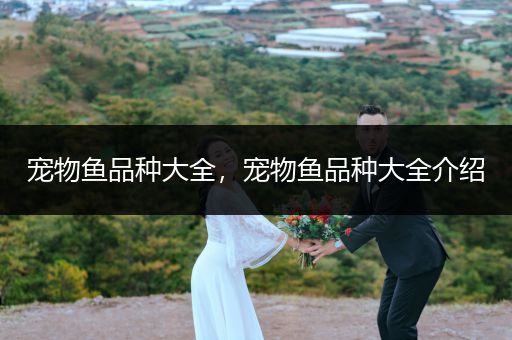 寵物魚品種大全，寵物魚品種大全介紹