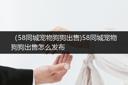 （58同城寵物狗狗出售)58同城寵物狗狗出售怎么發(fā)布