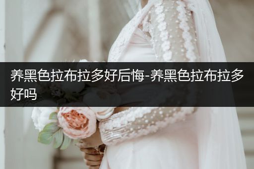 養(yǎng)黑色拉布拉多好后悔-養(yǎng)黑色拉布拉多好嗎