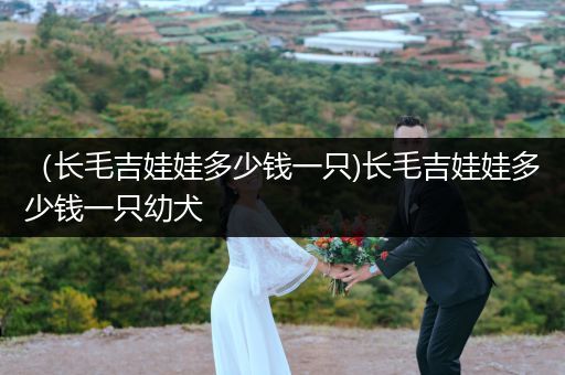 （長毛吉娃娃多少錢一只)長毛吉娃娃多少錢一只幼犬