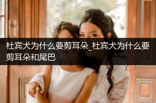 杜賓犬為什么要剪耳朵_杜賓犬為什么要剪耳朵和尾巴