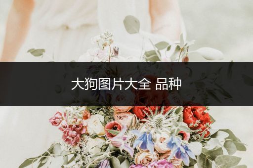 大狗圖片大全 品種
