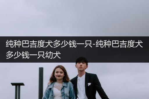 純種巴吉度犬多少錢一只-純種巴吉度犬多少錢一只幼犬