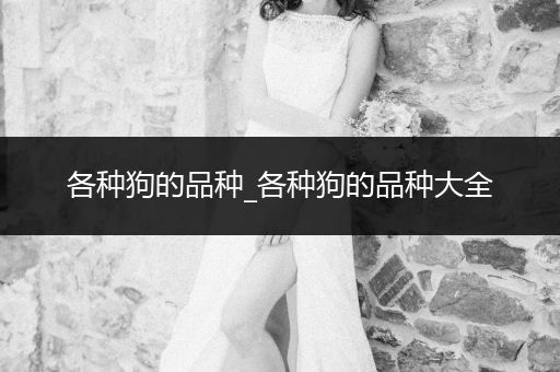 各種狗的品種_各種狗的品種大全