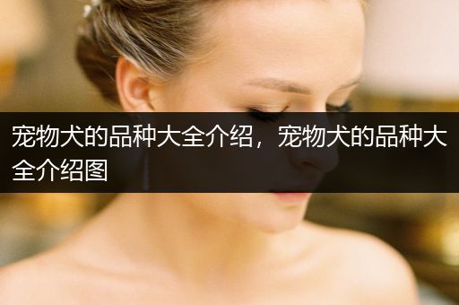 寵物犬的品種大全介紹，寵物犬的品種大全介紹圖