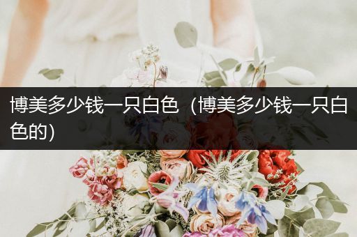 博美多少錢一只白色(博美多少錢一只白色的)