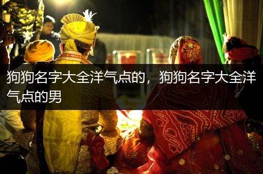 狗狗名字大全洋氣點(diǎn)的，狗狗名字大全洋氣點(diǎn)的男