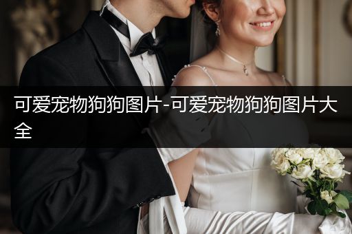 可愛寵物狗狗圖片-可愛寵物狗狗圖片大全