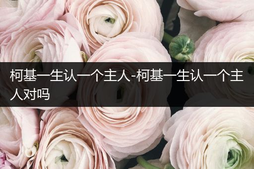 柯基一生認(rèn)一個主人-柯基一生認(rèn)一個主人對嗎