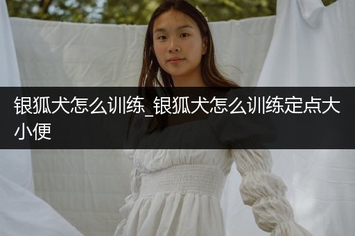 銀狐犬怎么訓(xùn)練_銀狐犬怎么訓(xùn)練定點(diǎn)大小便