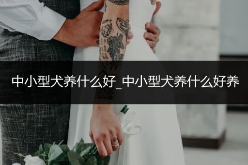 中小型犬養(yǎng)什么好_中小型犬養(yǎng)什么好養(yǎng)