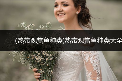 （熱帶觀賞魚種類)熱帶觀賞魚種類大全