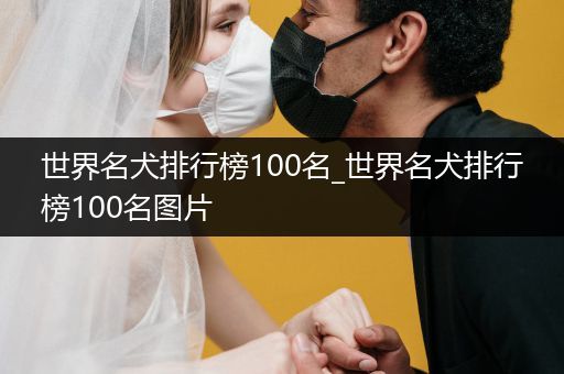 世界名犬排行榜100名_世界名犬排行榜100名圖片
