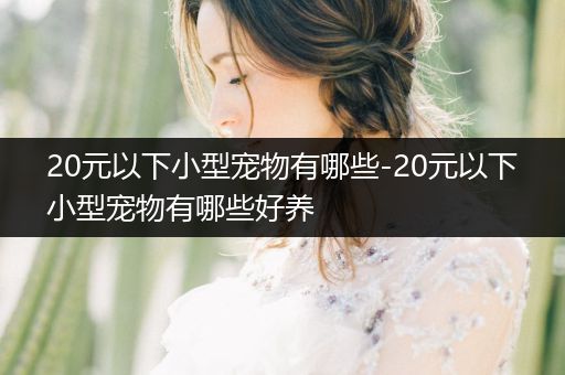 20元以下小型寵物有哪些-20元以下小型寵物有哪些好養(yǎng)