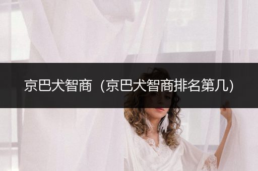 京巴犬智商（京巴犬智商排名第幾）